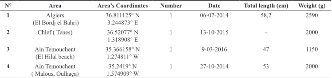 Table 2.  Records of Lagocephalus sceleratus in different regions of Algeria.