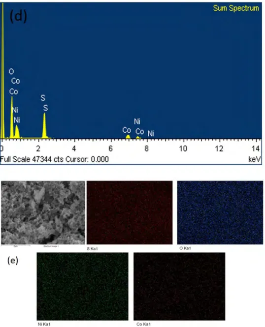 Figure 1. Continued.