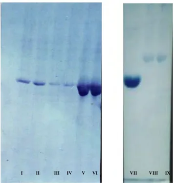 Fig. 1 Effect of pH on activity of carbonic anhydrase from bovine brain 024681012141618 0 10 20 30 40 50 60 70 80 Temperature ( o C)Activity