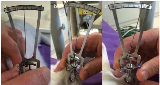 Fig. 2 Intraocular pressure (IOP) measurement with schiotz tonometer. a Preoperative IOP measurement