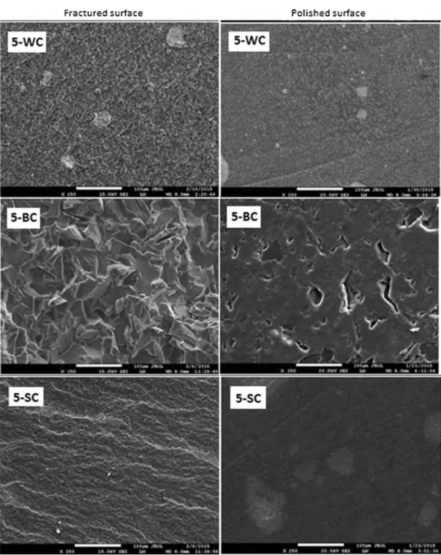 Fig. 1    SEM micrographs (×250) of polished and fractured surfaces of composites with 50% reinforcement loading ratio