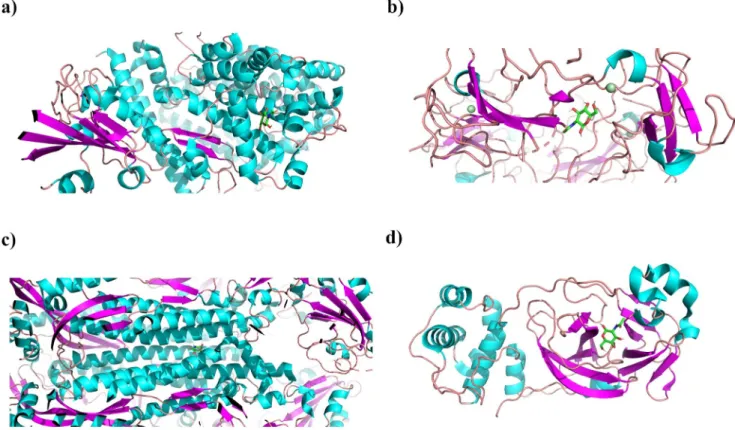 Fig 3. Best docking poses for tested proteins. Cartoon representation of the best docking pose of proteins (colored by secondary structures, clipped for