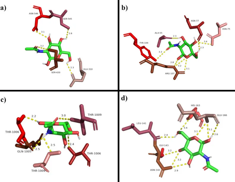 Fig 4. All potential polar interactions between D-GlcNAc (green stick) with a) 6M0J, b) 6WKP, c) 6X79 and d) 7JVZ with 5 Å from D-GlcNAc as predicted by PyMol