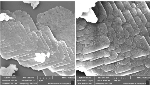 Figure 5.  FESEM image as-formed Copper Oxide nanosheets. Blank Positve ControlCuO NP CuSO 4 a Blank Positve ControlCuO NPCuSO4 b