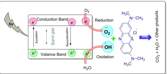 Figure 8.  Mechanism of photocatalytic degradation of methylene blue using CuO NS. Image generated using  ChemDraw professional v.17.