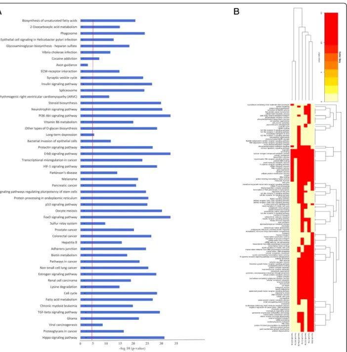 Fig. 5 a Functional pathways Analysis- Top GO biological processes were identified using DAVID blue bars denoted pathways enriched among miRNAs detected in all FF samples of patients based on differential expression of studied miRNAs between normo-androgen
