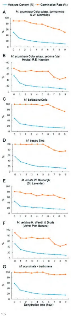Fig. 2. Effect of varying moisture content on Musa spp. seed germination: A – M. acumi- acumi-nata ssp