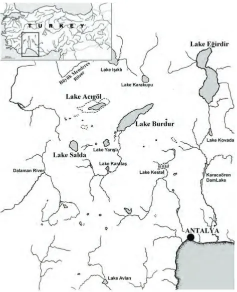 Fig. 1 . Map of the Lake District showing localities of the four endemic species of the genus Aphanius.