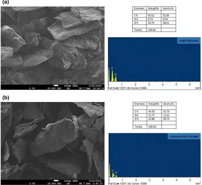 Fig. 1    SEM image and EDS spectrum of; crab chitosan (a) commercial chitosan (b)