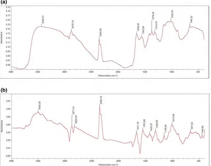 Fig. 2    FTIR spectrum results of commercial chitosan (a) and chitosan synthesized from crab (b)