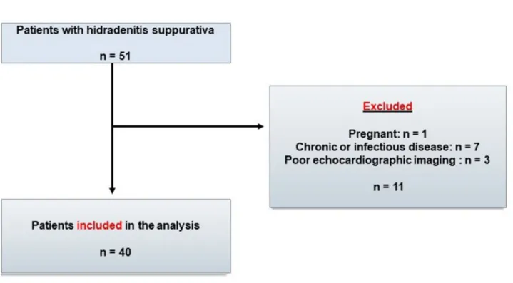 Fig. 2    Flowchart of the study population who met inclusion/exclusion criteria