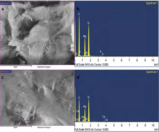 Figure 2 shows SEM and EDS images of the raw and modified sepiolites. The impregnation of