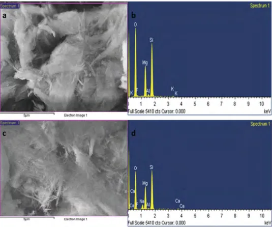 Figure 2 shows SEM and EDS images of the raw and modified sepiolites. The impregnation of