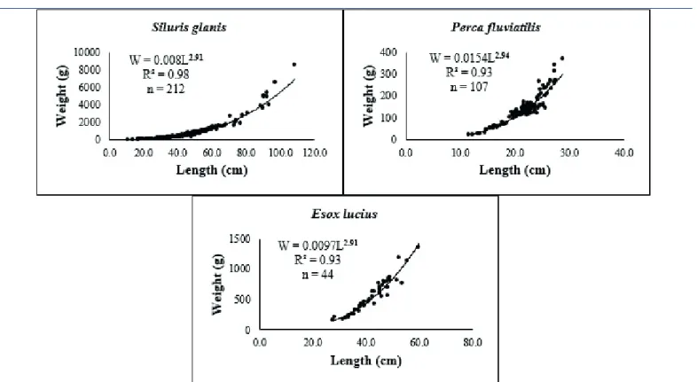 Figure 2.  Length–weight relationships (W=aL b ) of three commercial fish species from the Sakarya River.10 00 :§ 8000 ll 6000 :rr 4000 ~ :woo 0 0.0 W=0.008Lrn R'=0.98 n=212 • • ;Bi 400 300 ..