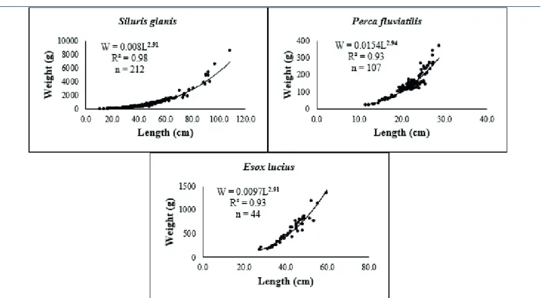 Figure 2.  Length–weight relationships (W=aL b ) of three commercial fish species from the Sakarya River.10 00 :§ 8000 ll 6000 :rr 4000 ~ :woo 0 0.0 W=0.008Lrn R'=0.98 n=212 • • ;Bi 400 300 ..
