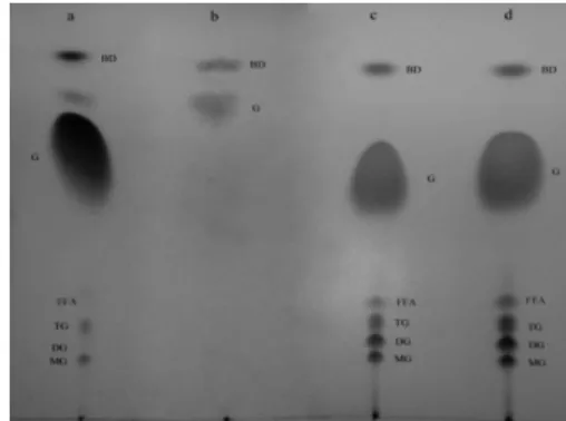 Figure 6. LipS350-2 catalyzed biodiesel production with  olive oil, TLC plate. a: Novozyme 435 catalysed biodiesel 