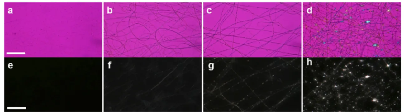Fig. 2 Optical textures of M3 sample taken between crossed polarizer and analyzer are given in order to observe the variation of birefringence depending on the angle where LC molecules were oriented with respect to the analyzer