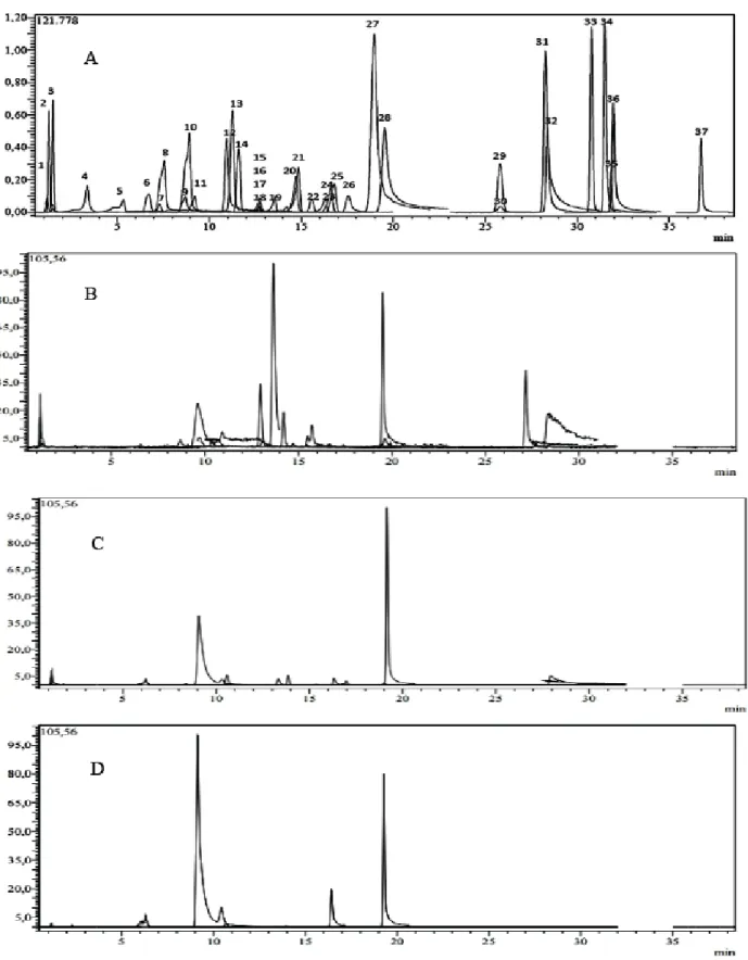 Fig.  (1).  LC-MS/MS  chromatograms:  (A)  TIC  chromatogram  of  the  standards  mixture  (1µg/ml);  (B)  Chromatogram  of  dichloromethane 
