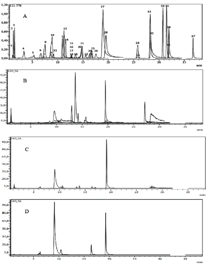 Fig.  (1).  LC-MS/MS  chromatograms:  (A)  TIC  chromatogram  of  the  standards  mixture  (1µg/ml);  (B)  Chromatogram  of  dichloromethane 