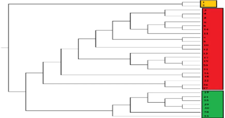 Figure 4. Dendrogram showing the genetic relationship between Salvia fruticosa Mill.  populations