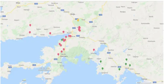Figure 5. Map image of clusters of Salvia fruticosa Mill. populations according to molecular  markers 