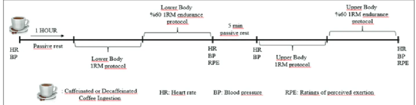 Figure 1: Test Protocol
