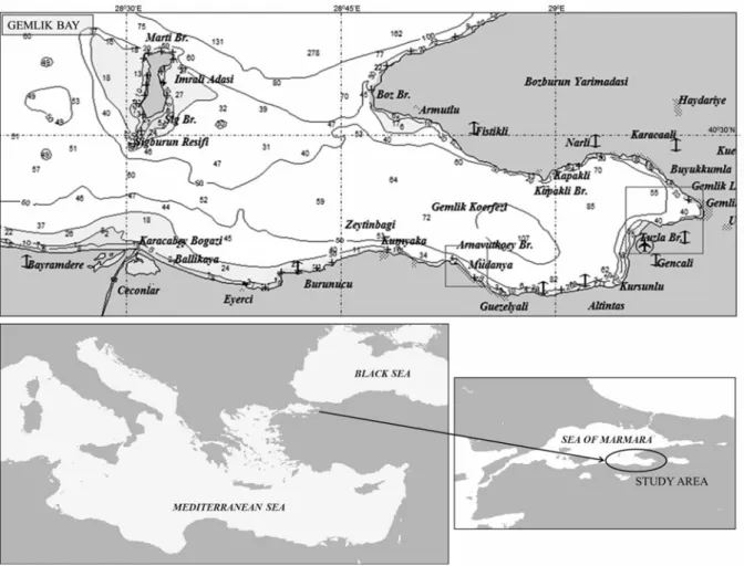 Figure 1. Study area: The Sea of Marmara, Gemlik Bay.