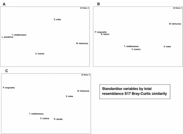 Figure 6. MDS analysis of the collected species in biomass for three mesh sizes. A. 28 mm