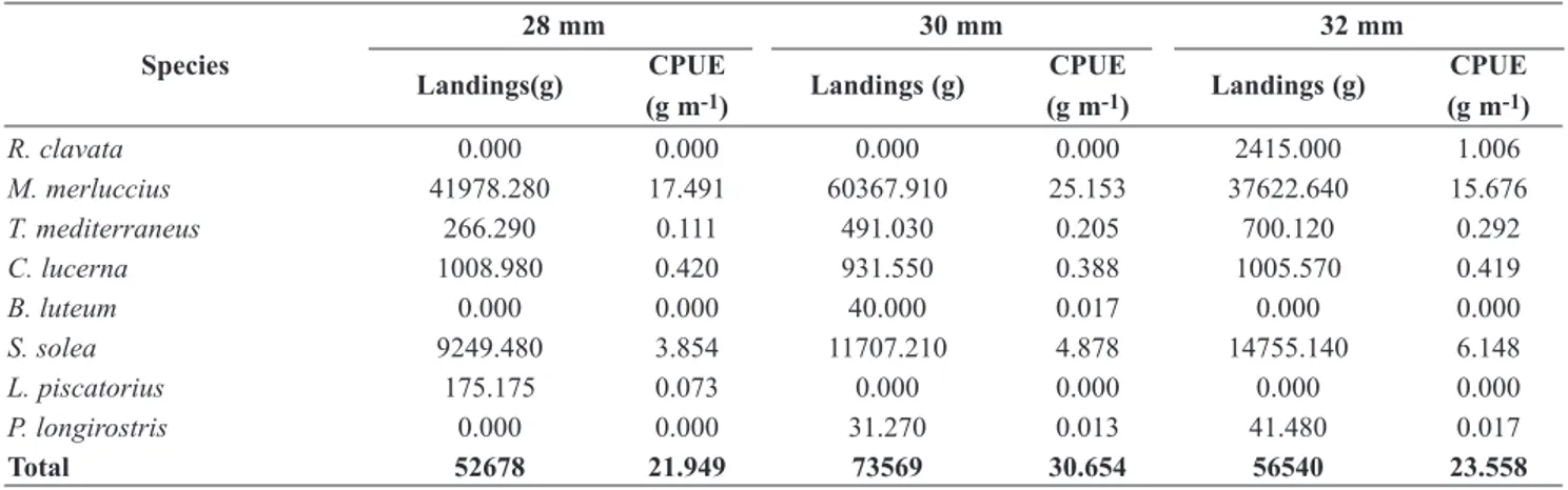 Table 7. Calculated CPUE estimates for each mesh size by biomass.