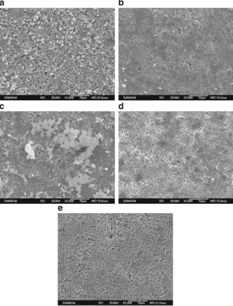 Fig. 1 SEM images of (a)