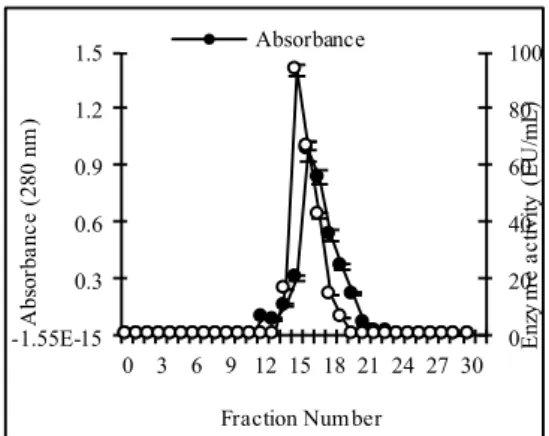 Figure 2. Elution profile of protein and laccase activity  on Sephacryl S200