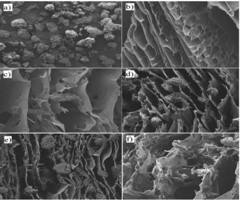Figure 4: The SEM images of aerogels; (a) pure microcrystalline cellulose powder, (b) pure chitosan pow-