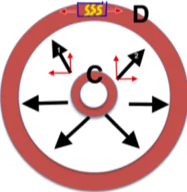 Fig. 1 Expansionary forces (black arrows) are generated by the fecal bolus so as to progress from the closed stage (C) to the dilated stage (D)