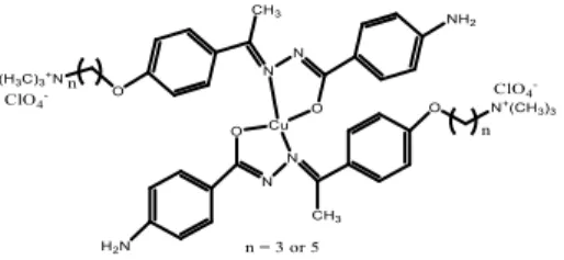 Figure 2. Suggested structures of the mononuclear copper(II) complexes.  3.4 Electronic absorption spectra 