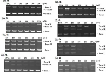 Figure  4.  Absorption  titration  curves  of  the  ligands  in  the  presence  of  increasing concentration of CT-DNA