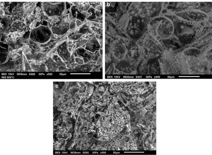 Fig. 6    Fire resistance properties of experimental coatings. 1. Base  coating, 2. Filled with 0.25 wt