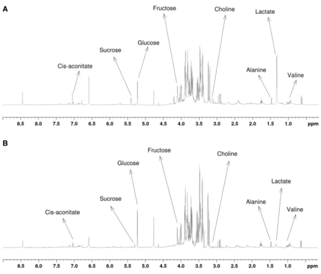 Fig. 2    Comparative 1D  1 H NMR spectra obtained from extracts of a control and b smoke pre-treated (10%) root samples