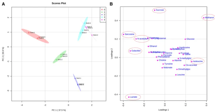Fig. 3   a PCA scores plot obtained from the metabolite data of maize 