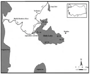 FIGURE 1  Study Area of Bafa Lake. 