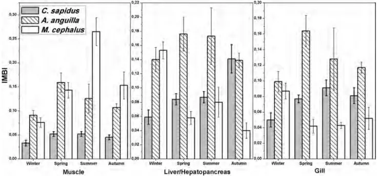 Fig. 2   Comparison individual mean bioaccumulation index values of species in different season (n = 70 for M