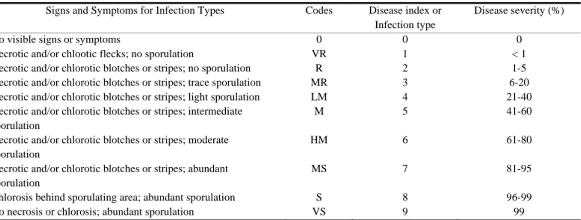 Table 1.  Defining the type of infection of yellow rust disease in wheat genotypes