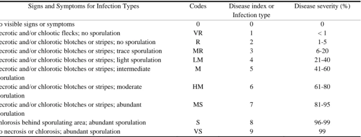 Table 1.  Defining the type of infection of yellow rust disease in wheat genotypes