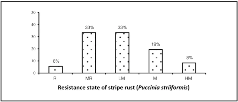 Figure 1. Resistance state of stripe rust (Puccinia striiformis) in wheat genotypes  2% of the population identified with local 