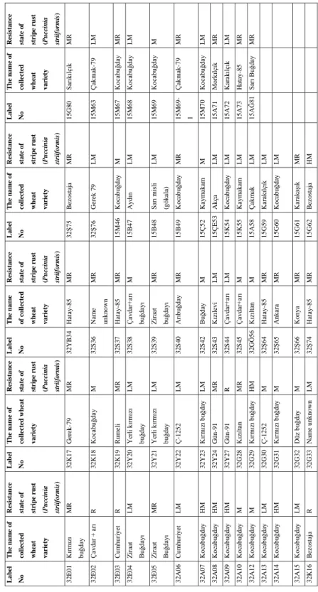 Table 2. Evaluation of yellow rust disease 