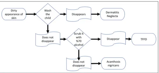 Figure 5: Terra Firma-forme Dermatosis diagnosis flow chart