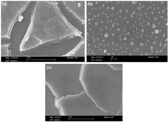 Fig. 2   SEM images of  VO x  thin films at different substrates a ITO, b CG, c Si-wafer