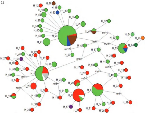 Figure 2. Continued.(c)  H _ 52  H _ G4 Q  H _ 65 H_5. H_18 