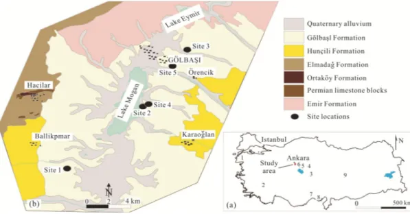 Figure 1. Geological map of the study area showing the site locations (b) (Akyürek et al