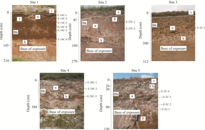 Figure 2. Pictures showing the studied sections: Site 1 samples E-14C-1 to E-14C-6; Site 2 samples E-25C-1 and E-25C-2; Site 3 sample E-5C-1; Site 4 samples E- E-28C-1 to E-28C-3, and Site 5 samples E-2C-1 to E-2C-4