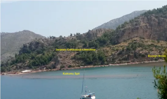 Fig. 9 Photograph showing the general view of the K ızkumu Spit, Jurassic-Cretaceous limestone and Boze ğri Brook